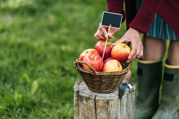 Vista parziale della ragazza che vende mele appena raccolte in cesto di vimini con tag — Foto stock