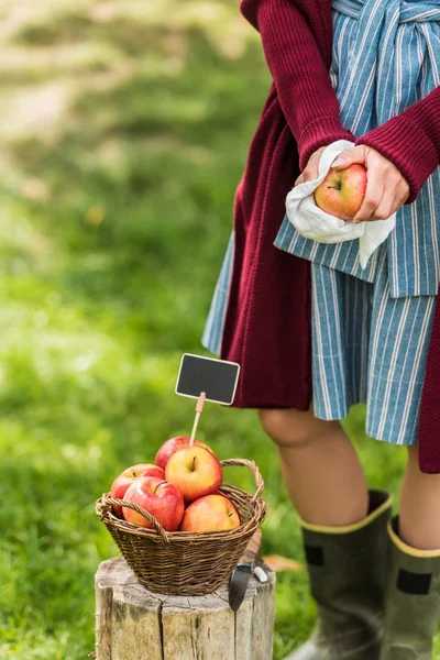 Vista recortada de mujer joven vendiendo manzanas frescas recogidas en cesta con etiqueta vacía - foto de stock