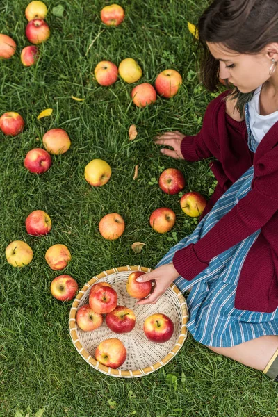 Overhead view of girl with fresh picked apples in wicker bowl sitting on green grass — Stock Photo