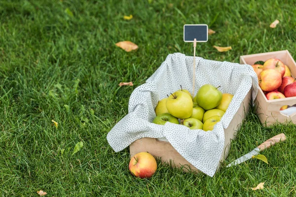 Ripe fresh picked apples in boxes with tag for sale on green grass — Stock Photo