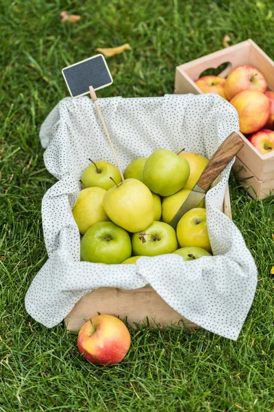 Green fresh picked apples in boxes with tag for sale on grass — Stock Photo