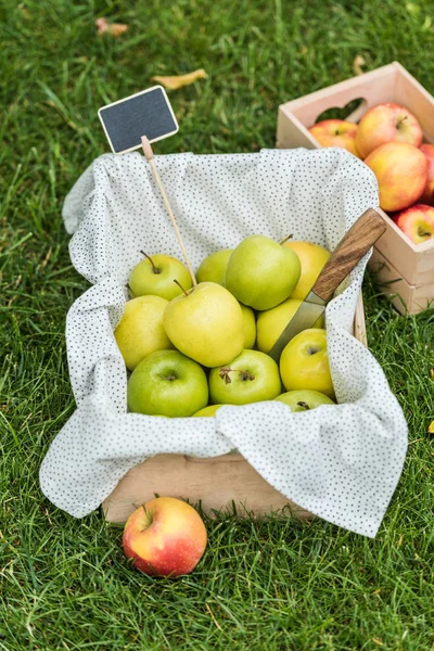 Mele fresche verdi raccolte in scatole con etichetta in vendita sull'erba — Foto stock