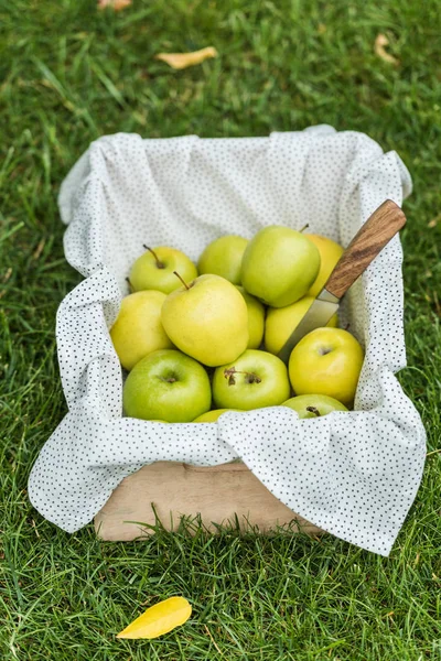 Grüne frisch gepflückte Äpfel und Messer in Holzkiste auf Gras — Stockfoto