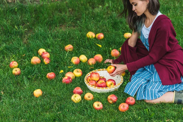 Hermosa chica con sabrosas manzanas en cuenco de mimbre sentado sobre hierba verde - foto de stock