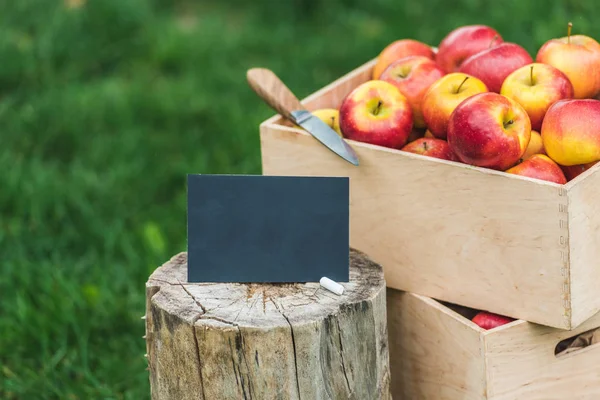 Fresh picked apples in boxes with empty card for sale — Stock Photo