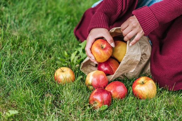 Cropped view of girl apples in paper bag on green grass — Stock Photo