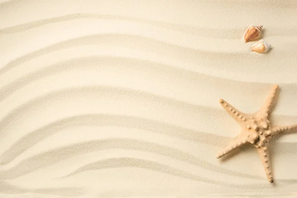 Vue de dessus des coquillages disposés et de l'étoile de mer sur une surface sablonneuse — Photo de stock