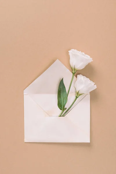 Vista superior de flores de eustoma branco em envelope sobre fundo bege — Fotografia de Stock