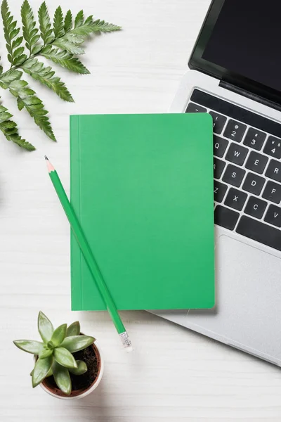 Зеленый карандаш и учебник, ноутбук и растение на столе — стоковое фото