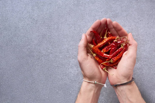 Cropped shot of man holding dried chili peppers in hands with grey surface on background — Stock Photo