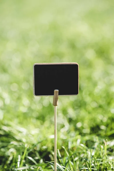 Tableau noir en bois vide sur bâton dans l'herbe verte — Photo de stock