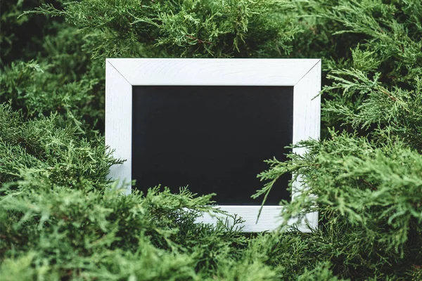 Empty wooden board in green bushes — Stock Photo