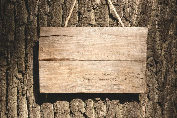 Empty wooden board hanging on grey bark of tree — Stock Photo