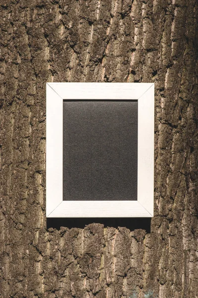 Empty wooden blackboard on grey bark of tree — Stock Photo