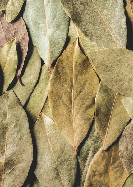 Vue plein cadre de feuilles de laurier séchées aromatiques fond — Photo de stock