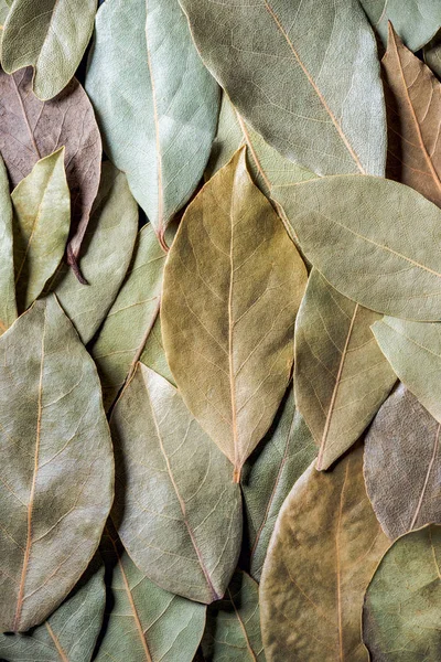 Вид сверху на ароматические сухие листья лаврового фона — стоковое фото