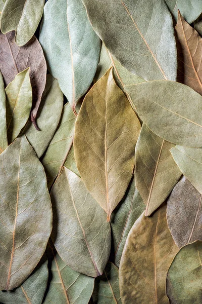 Top view of aromatic dried bay leaves background — Stock Photo