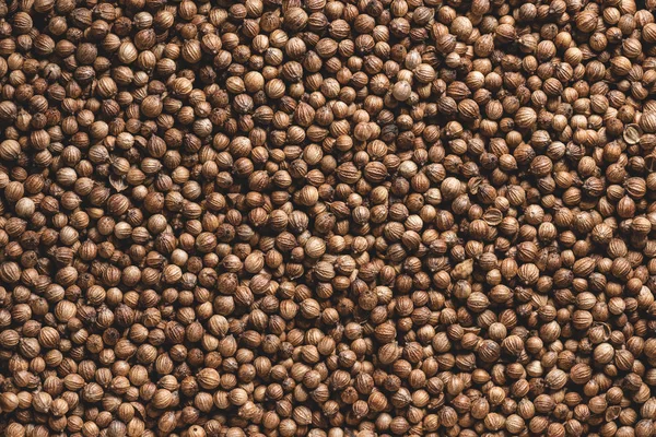 Полный обзор ароматических высушенных семян кориандра — стоковое фото