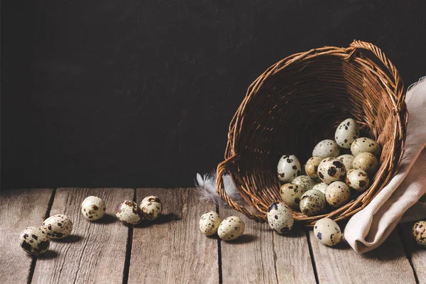 Fresh organic quail eggs in wicker basket and feathers on wooden table on black — Stock Photo