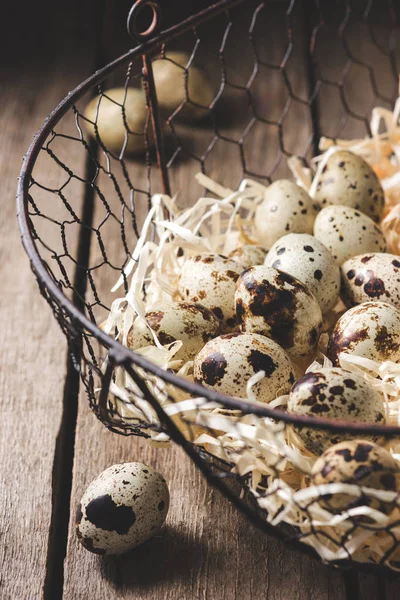 Close-up view of organic quail eggs in shavings on wooden table — Stock Photo