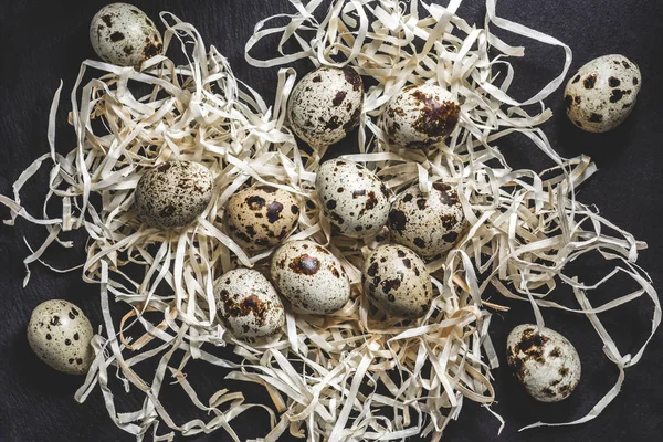 Top view of raw organic quail eggs in shavings on black — Stock Photo