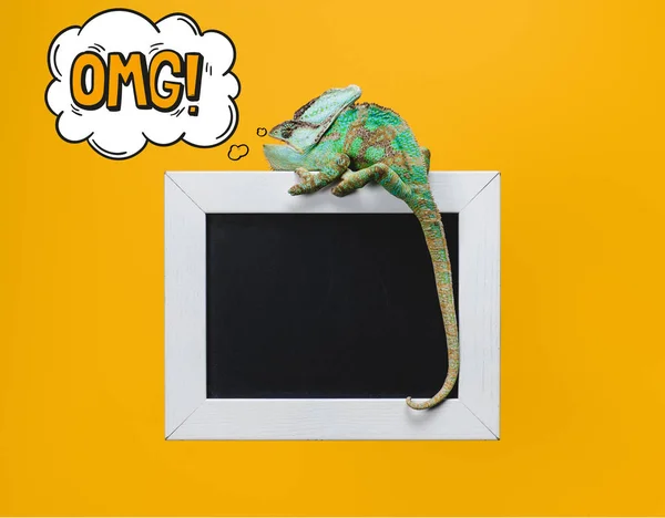 Beautiful bright green chameleon with omg sign in thought bubble sitting on blackboard isolated on yellow — Stock Photo