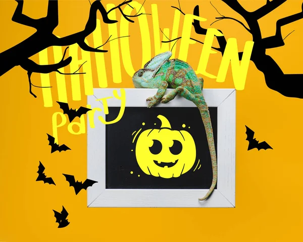 Caméléon exotique lumineux sur tableau noir avec fête d'Halloween, chauves-souris et citrouille isolées sur jaune — Photo de stock