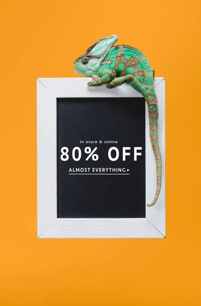 Beautiful colorful reptile on blackboard with 80 percents off sale isolated on yellow — Stock Photo
