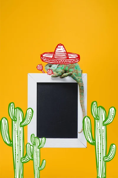 Hermoso camaleón colorido en sombrero sombrero con maracas en pizarra aislado en amarillo con cactus mexicanos - foto de stock