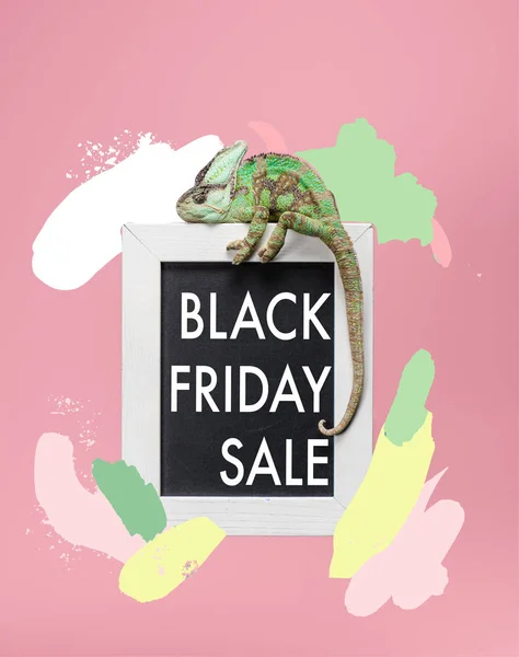 Beautiful bright green chameleon on blackboard in white frame isolated on pink with black friday sale — Stock Photo