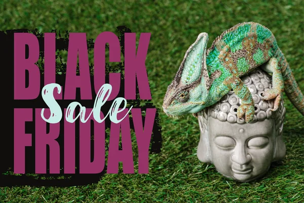 Hermoso camaleón verde brillante sentado en la cabeza de Buda con la venta de viernes negro - foto de stock