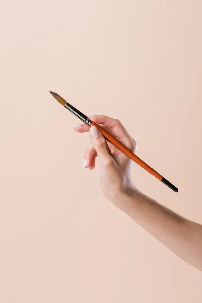 Cropped shot of woman holding watercolor paint brush isolated on beige — Stock Photo