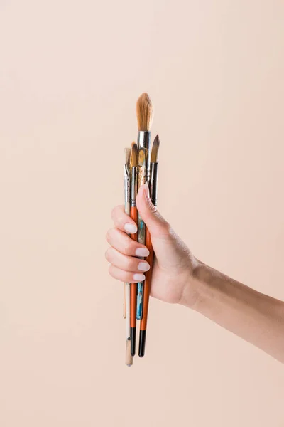 Cropped shot of woman holding bunch of paint brushes isolated on beige — Stock Photo