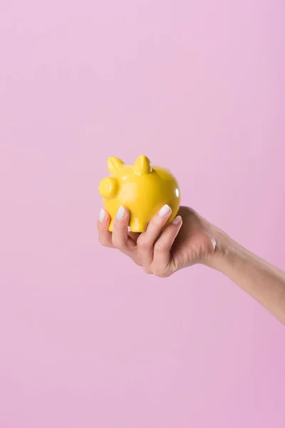 Cropped shot of woman holding yellow piggy bank isolated on pink — Stock Photo