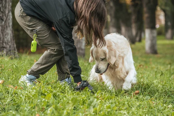 Молодая женщина уборка за собакой в парке — стоковое фото