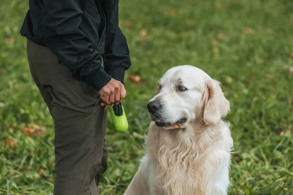 Cropped shot of woman holding bag for cleaning after pet in park — Stock Photo
