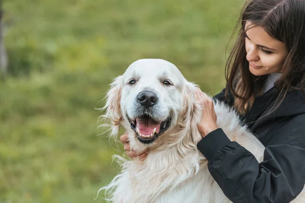 Bela jovem mulher acariciando adorável retriever cão no parque — Fotografia de Stock