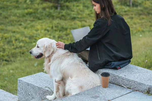 Young freelancer stroking dog while working with laptop in park — Stock Photo
