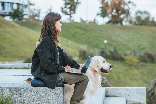 Side view of freelancer stroking dog and using laptop in park — Stock Photo