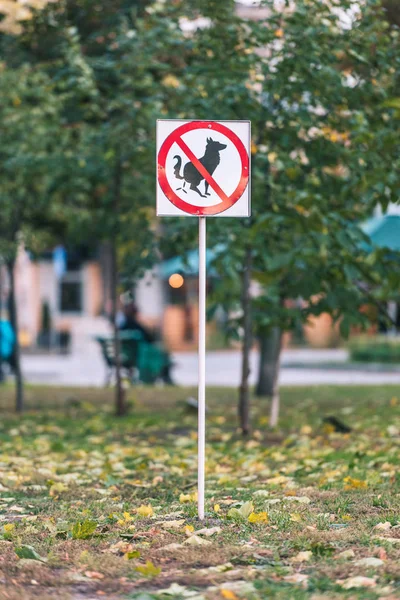 No hay letrero de caca de perro en el césped en otoño parque - foto de stock