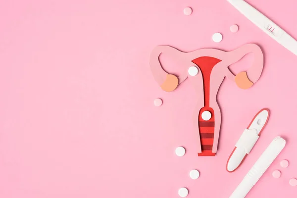 Top view of female reproductive system, pills and various pregnancy tests on pink — Stock Photo