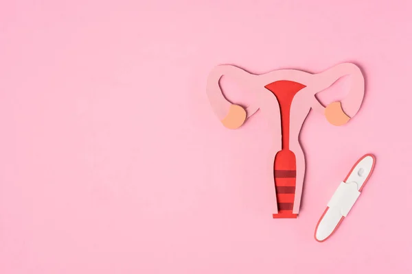 Elevated view of female reproductive system and pregnancy test on pink — Stock Photo