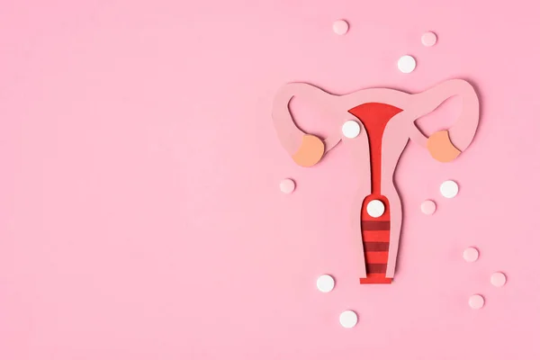 Top view of female reproductive system and pills on pink — Stock Photo