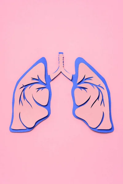 Вид зверху людських легенів на рожевий — стокове фото