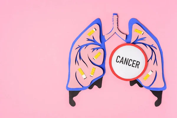 Vista superior de los pulmones humanos con cigarrillos y cáncer de letras en rosa - foto de stock