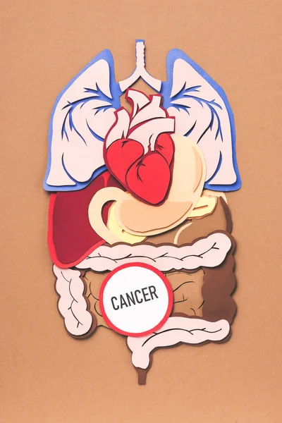 Плоска лежала з внутрішніми органами людини і витісняла рак на коричневому — стокове фото