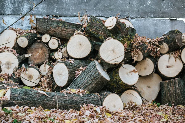 Pile de bois de chauffage haché avec feuilles automnales près de la clôture — Photo de stock