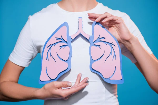 Vista parcial de la mujer en camiseta blanca con los pulmones hechos a mano de papel sobre fondo azul - foto de stock