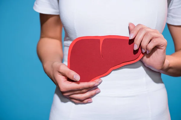 Cropped shot of woman holding paper crafted liver in hands on blue background — Stock Photo