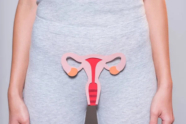 Partial view of woman with paper made female reproductive system on grey background — Stock Photo